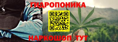 стаф Кандалакша