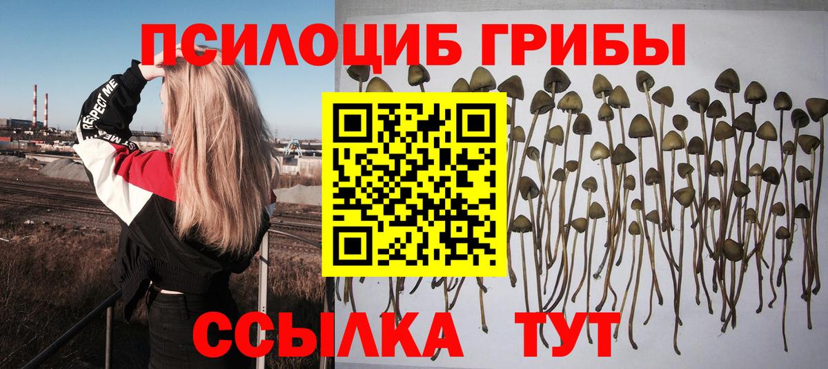 Псилоцибиновые грибы Magic Shrooms  Вход с VPN  Ханты-Мансийск  Псилоцибиновые грибы GOLDEN TEACHER 